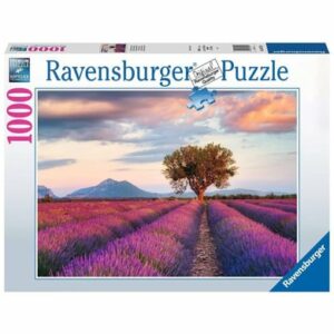 Ravensburger Lavendelfeld zur goldenen Stunde bunt