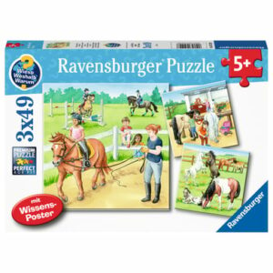 Ravensburger Puzzle 3 x 49 Teile WWW: Ein Tag auf dem Reiterhof