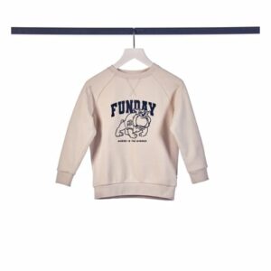 TOM TAILOR Sweatshirt Raglan Dusty Beige