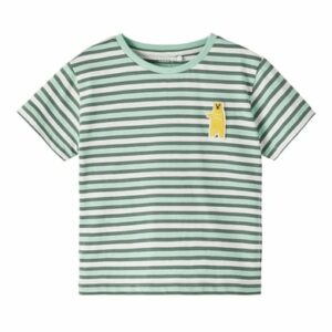 name it T-Shirt Nmmdik Hemlock