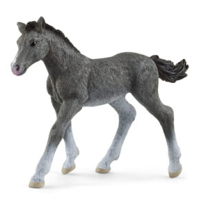 schleich® Trakehner Fohlen