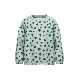 name it Sweatshirt Nmfviluba Surf Spray