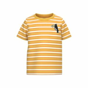 name it T-Shirt Nmmdik Spicy Mustard