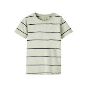 name it T-Shirt Nmmfalke Desert Sage