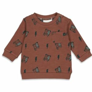 Feetje Sweatshirt Wild Thing Bruin