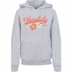 F4NT4STIC Hoodie Honolulu heather grey