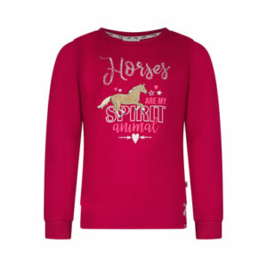 Salt and Pepper Sweatshirt Riding School very berry