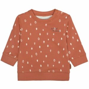 STACCATO Sweatshirt rust gemustert