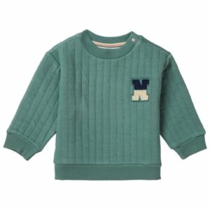 Noppies Pullover Teaticket Dark Forest